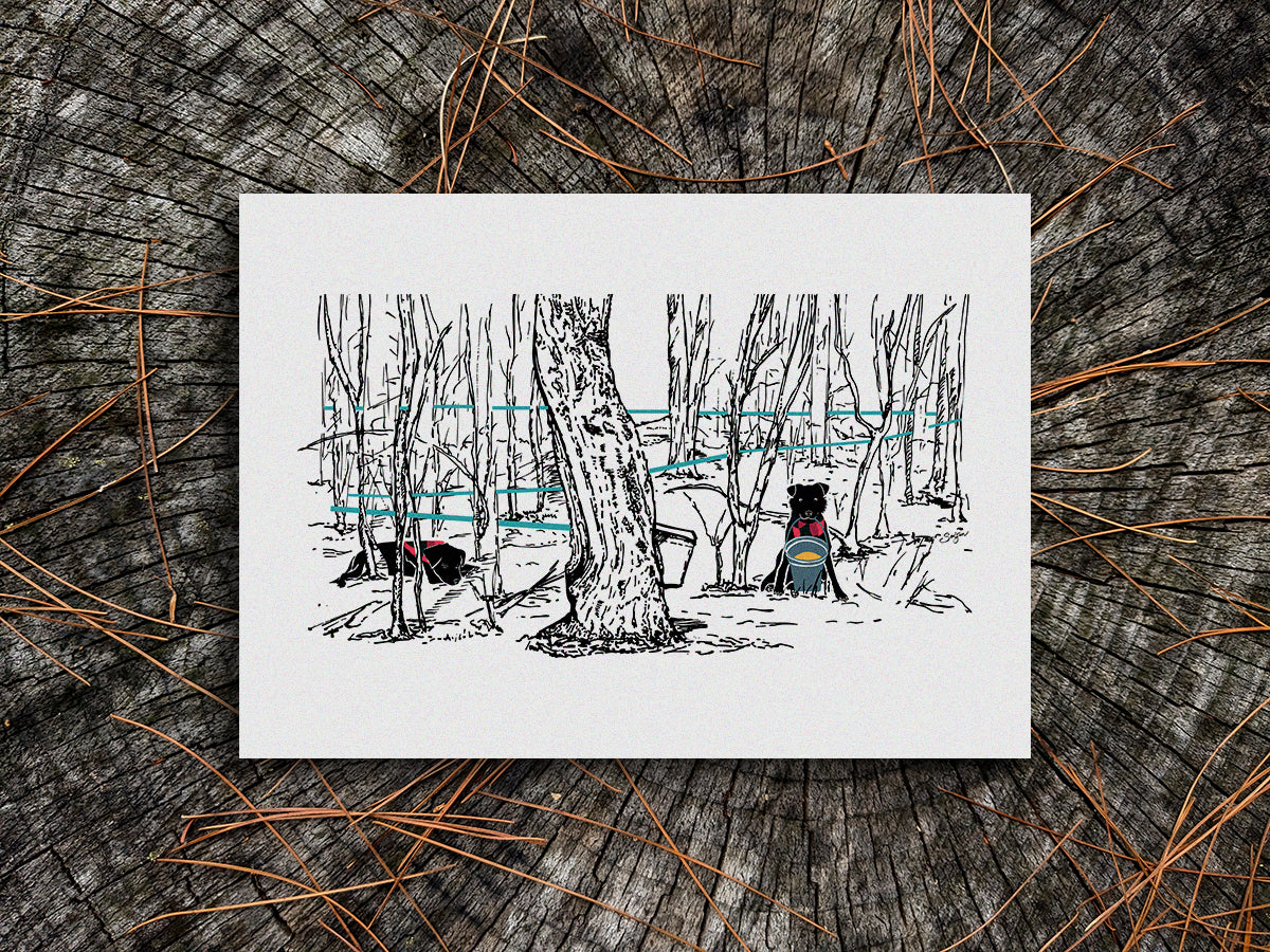 Print of two black dogs in a forest collecting maple syrup