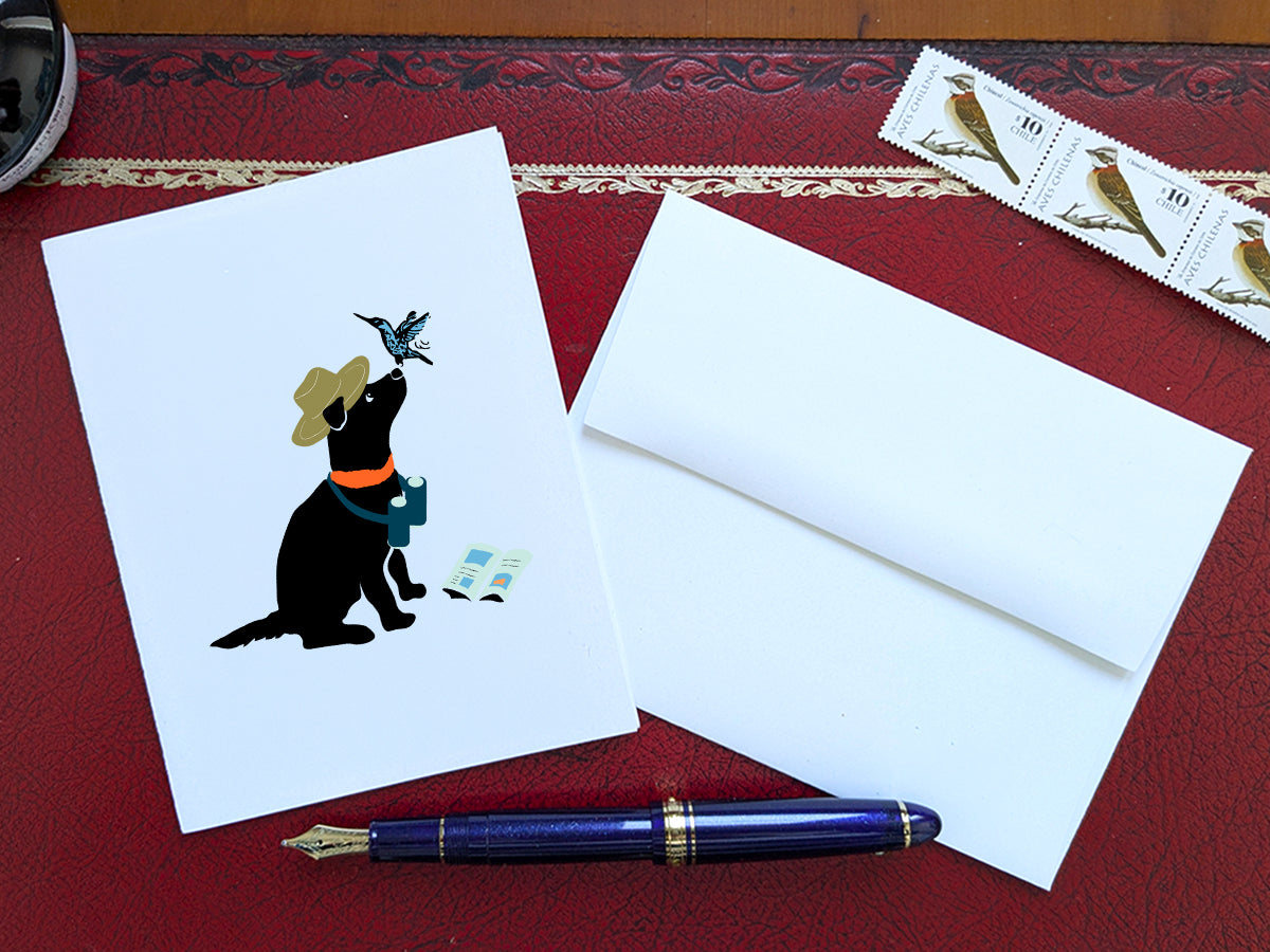 White card with drawing of a dog with binoculars and a hummingbird on a red surface with a pen, envelope, and stamp.