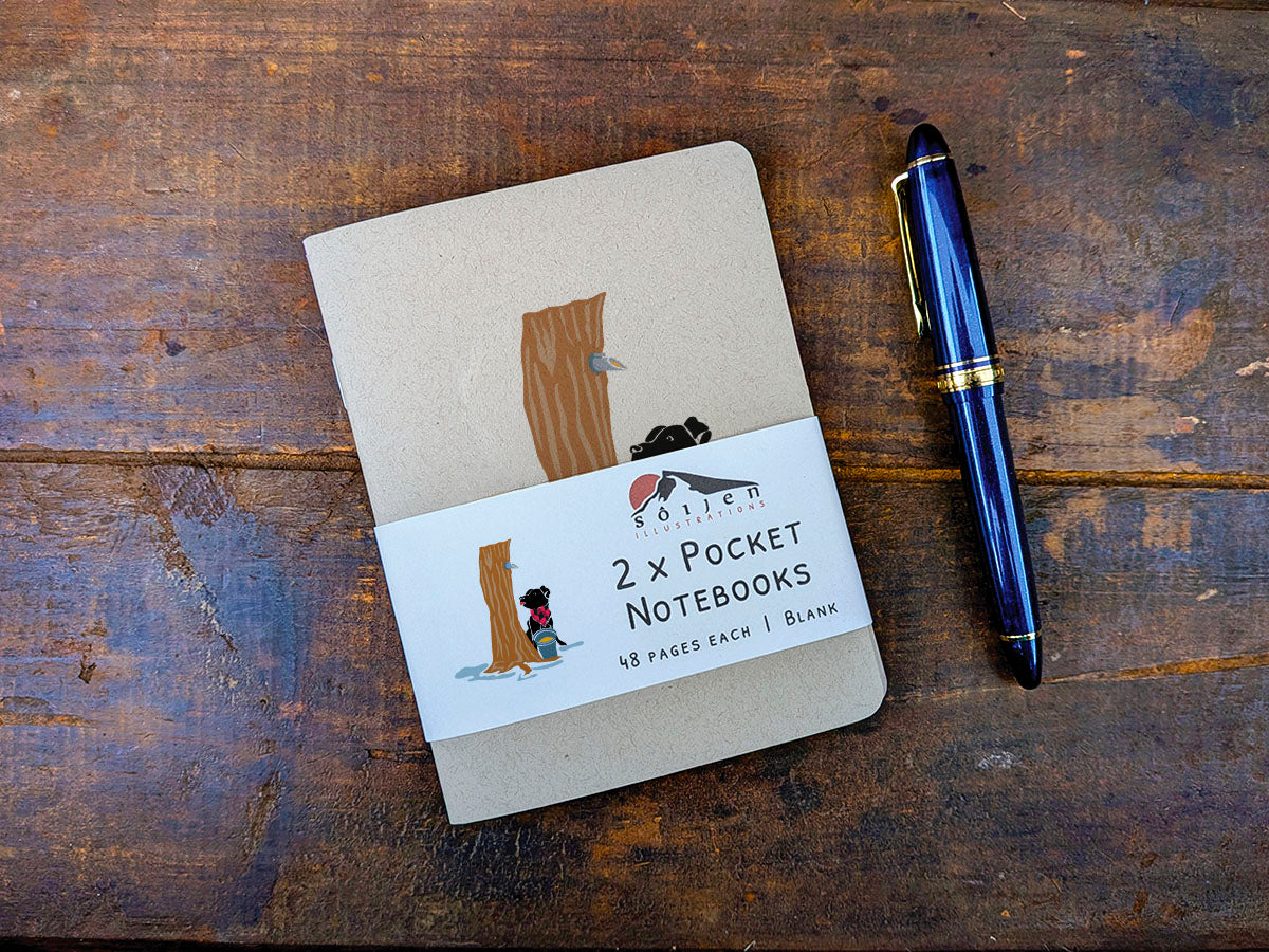 Two pocket notebooks with a pen on a wooden surface