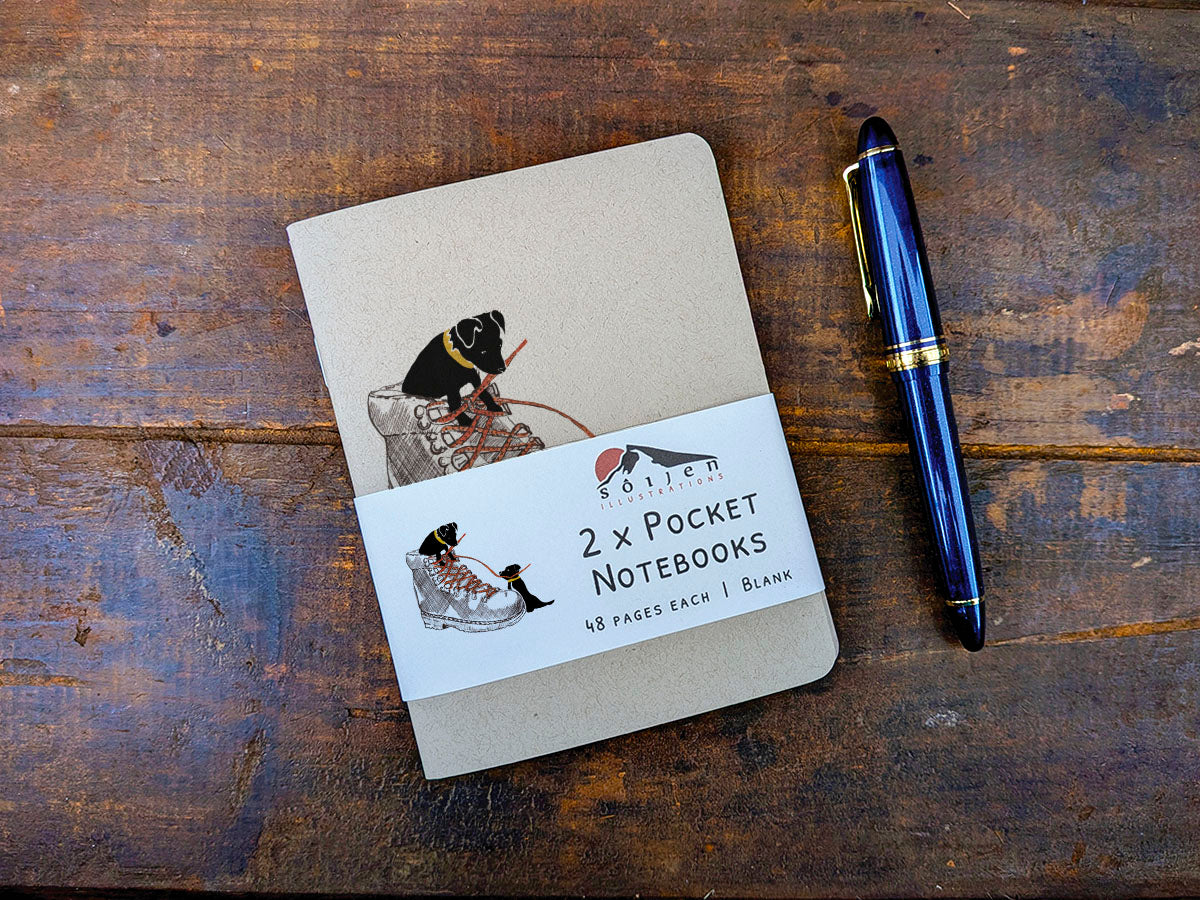 Two pocket notebooks with a pen on a wooden surface