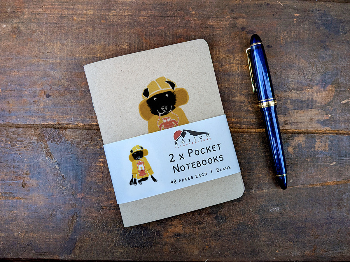 Two pocket notebooks with a pen on a wooden surface