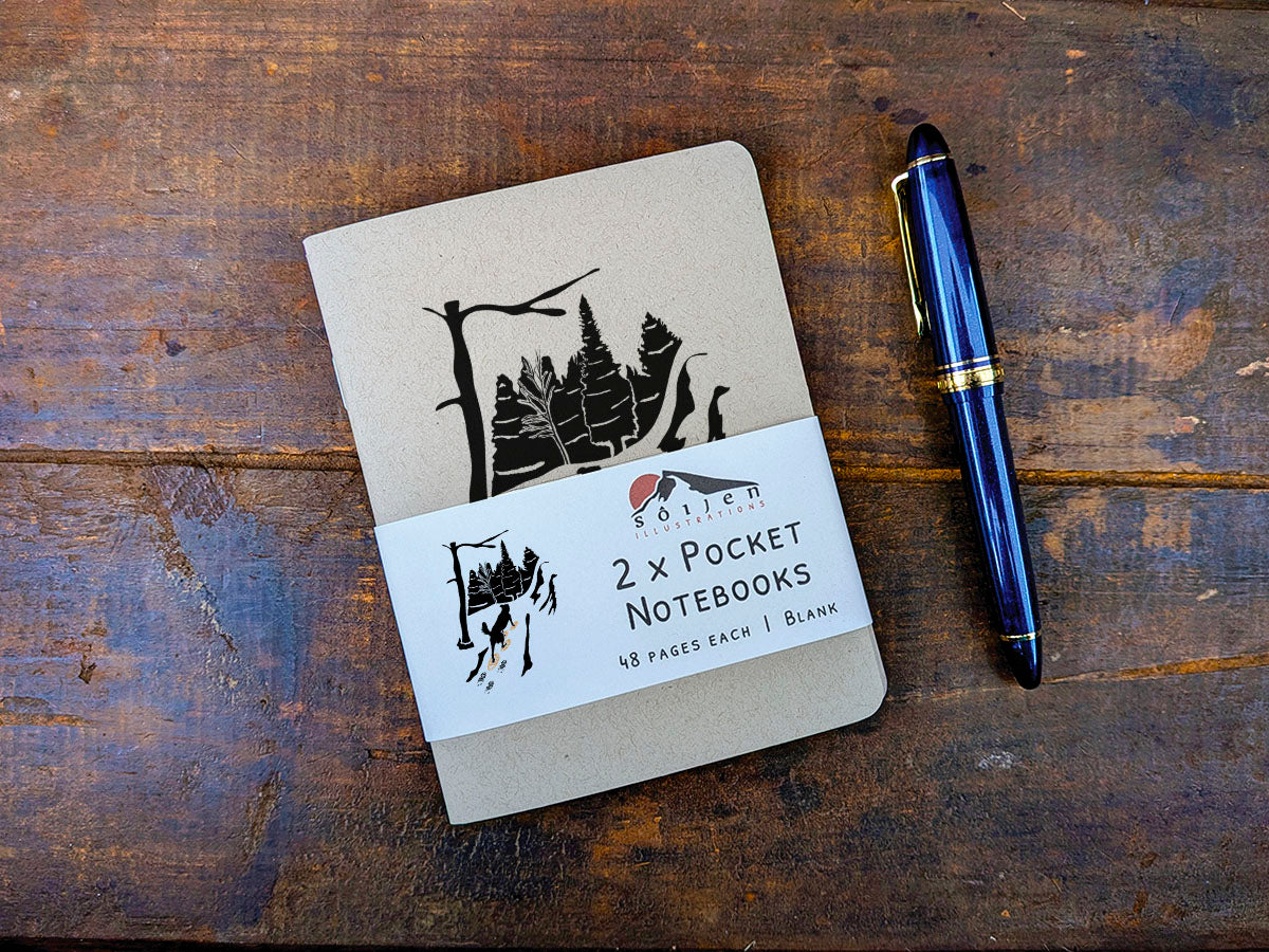 Two pocket notebooks with a pen on a wooden surface