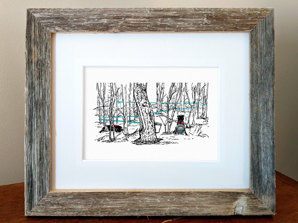 Framed print of two black dogs in a forest collecting maple syrup